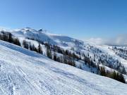 Ampio territorio presso la Kaiserburg