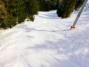 Sentiero nel bosco sotto la seggiovia a 4 posti Méné