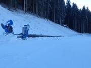 Biancaneve - Tapis roulant/Tappeto Magico