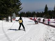 Tappeto Mecha Poliana per esercitarsi vicino ad Aleko