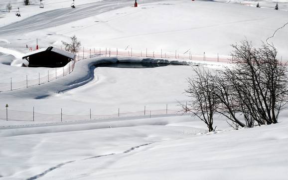 Sicurezza neve Val d'Arly – Sicurezza neve Espace Diamant - Les Saisies/Notre-Dame-de-Bellecombe/Praz sur Arly/Flumet/Crest-Voland