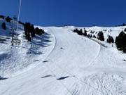 Pendio ripido Weißpriacher