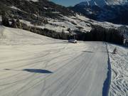 Discesa nel bosco (Fiss)