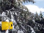 Grazie alla numerosa segnaletica, orientarsi è facile.