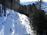 Suggerimento per i più piccoli 