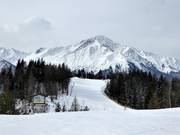 Piste al Brennerköpfl