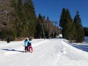 Farrenau I - Skilift con T-bar/ancora