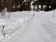 Ponylift Pontresina 1 - Manovia/Babylift a fune bassa