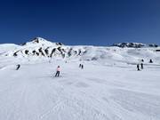 Pista facile agli impianti di risalita Albein