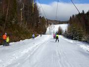 Rehberglift 2 - Skilift con T-bar/ancora