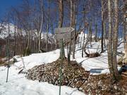 Segnaletica delle piste nell’area sciistica Vogel