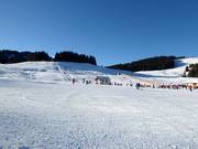 Piste facili e larghe dominano sulla Postalm