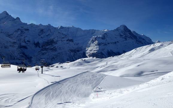 Sciare a Grindelwald