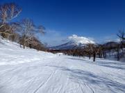 Pista facile Silver Dream (Hanazono)