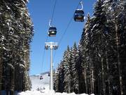 Titlis Xpress Engelberg-Trübsee - 8pers.| Telecabina (Monofune)