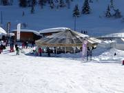 Bar Ombrello in Passo del Tonale