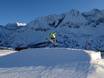Snowparks Skirama Dolomiti – Snowpark Ponte di Legno/Tonale/Ghiacciaio Presena/Temù (Pontedilegno-Tonale)