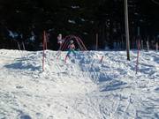 Suggerimento per i più piccoli 