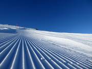 Pista FIS appena preparata