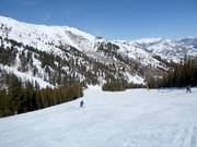 Pista Christin's Silver