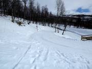 Pista da fondo a Hemavan