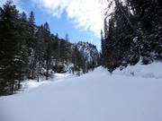 Discesa a valle verso Enzingerboden