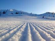 Ottima preparazione delle piste al Dollar Mountain
