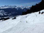 Pista blu da Alp Dado a Crest Falla
