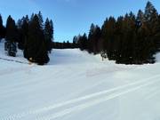 Pista facile Mora Ortesino n. 1c