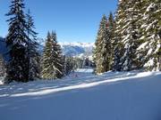 Pista intermedia Langried