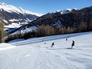 Larga discesa nel bosco Panorama 2
