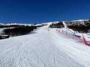 Pista allo skilift Sysendalen