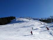 Facile discesa Bärnbiss