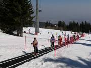 Tappeto Mecha Poliana per esercitarsi vicino ad Aleko