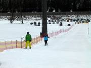 Beginners-Lift Flachauwinkl - Manovia/Babylift a fune bassa