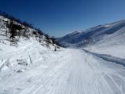 Perfetto per esercitarsi - pista n. 10