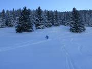 Itinerario sciistico Ochsenalpe