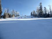 Pista intermedia Malinowa