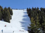 Pista difficile Variante Rainer