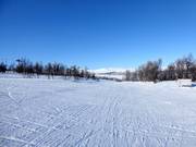 Pista facile a Ramundberget