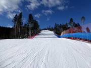 Pista facile Vezzena