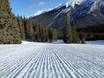 Preparazione delle piste Alberta – Preparazione delle piste Mt. Norquay - Banff