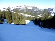 Discesa molto difficile Roßkopf