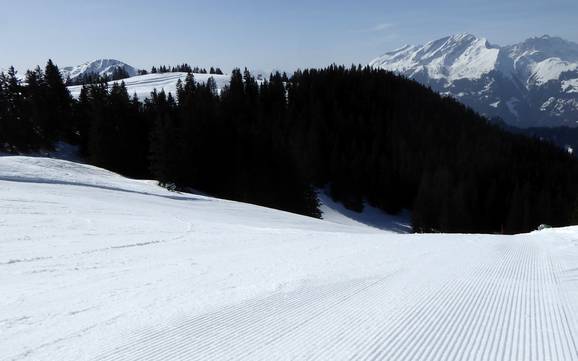 Preparazione delle piste Prettigovia – Preparazione delle piste Grüsch Danusa