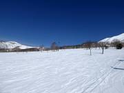 Piste facili e larghe ad Annupuri