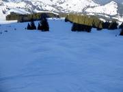 Pista a gobbe al Sudelfeldkopf