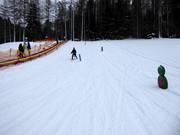 Vengono offerte anche attività sportive alternative.