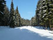 Discesa sud Ochsenkopf