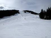 Piste presso la seggiovia a 4 posti Gschwandtkopf e allo skilift Brunnental