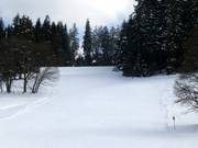 Discesa per famiglie